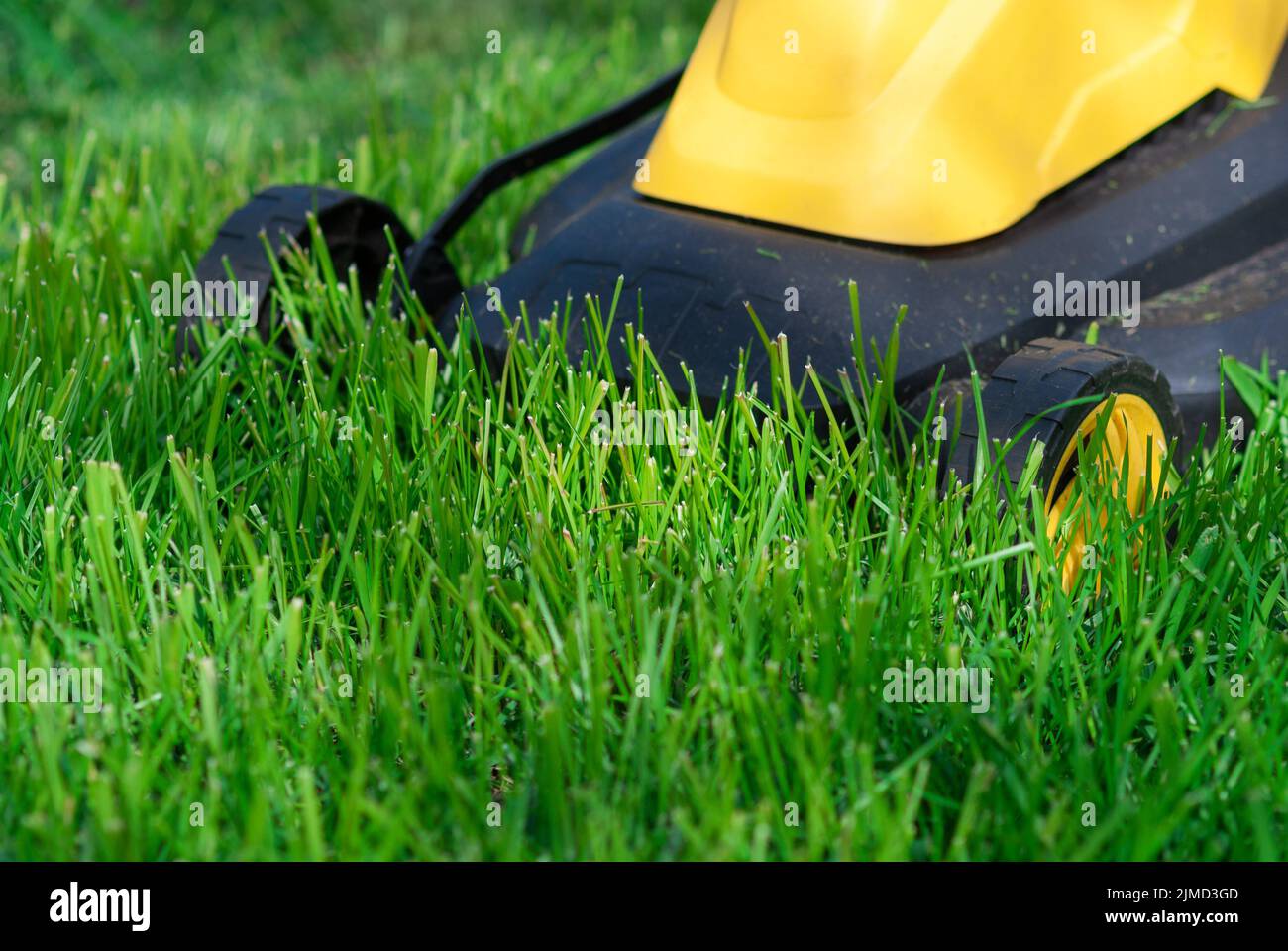 Lawn mower trimming grass, close up Stock Photo