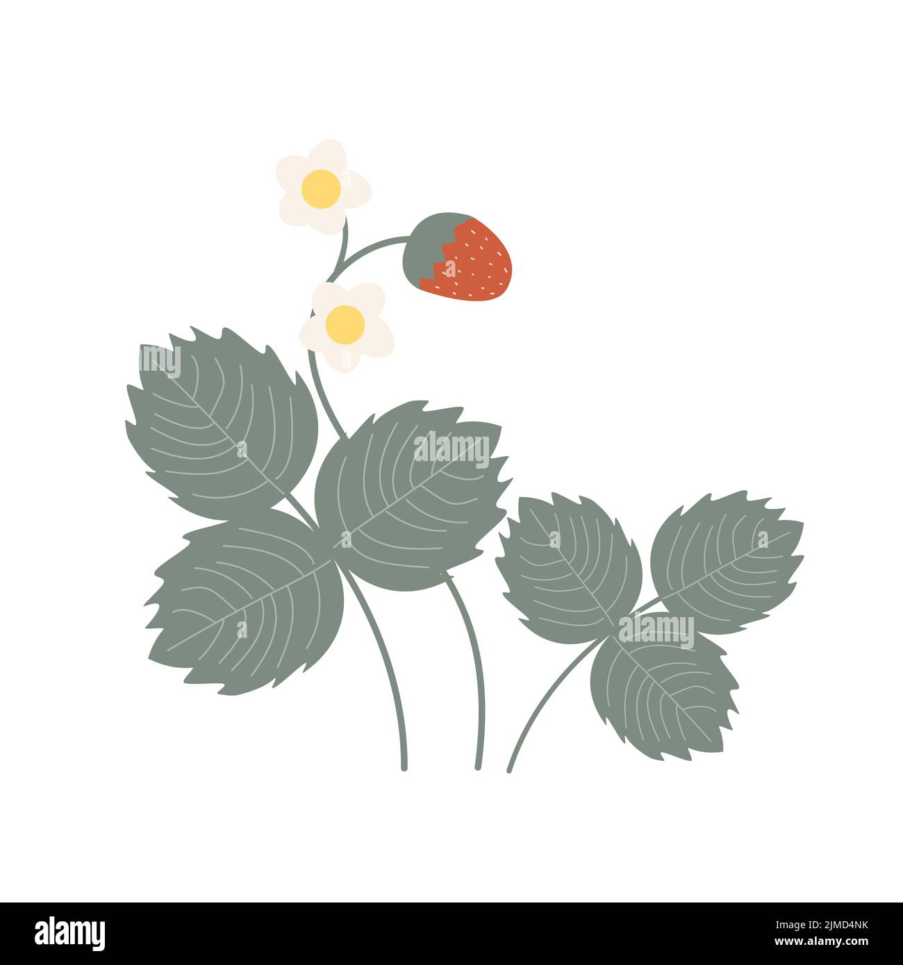 Bush of wild strawberries with flowers, berry, and leaves. Doodle vector illustration. Stock Vector
