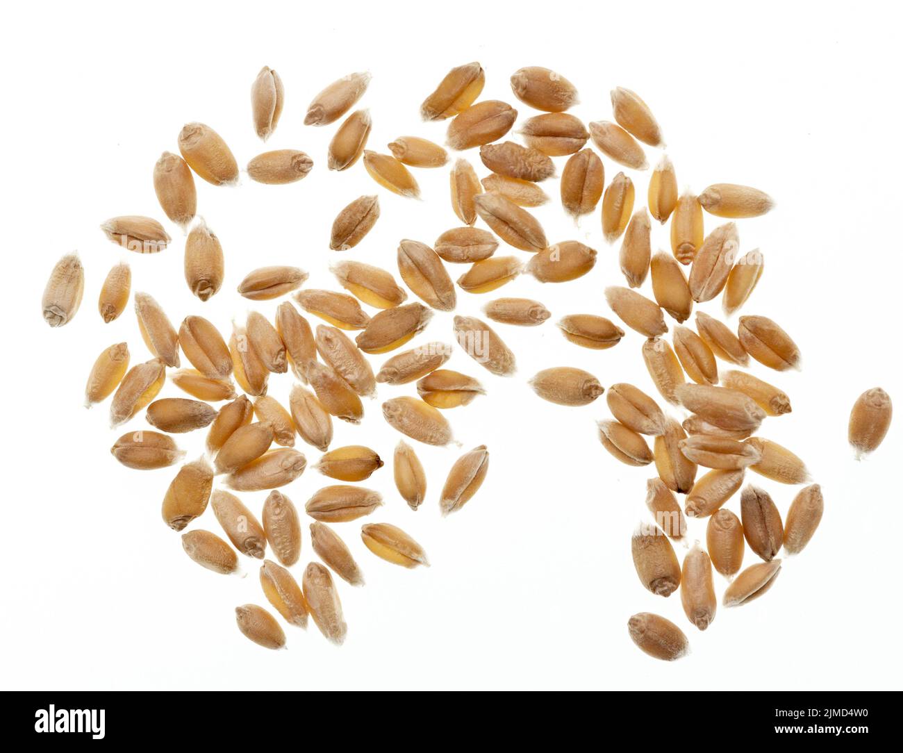 Pearl wheat hires stock photography and images Alamy