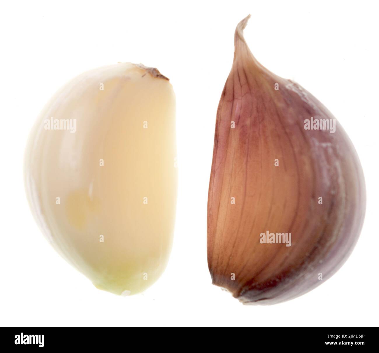 Garlic on white Stock Photo