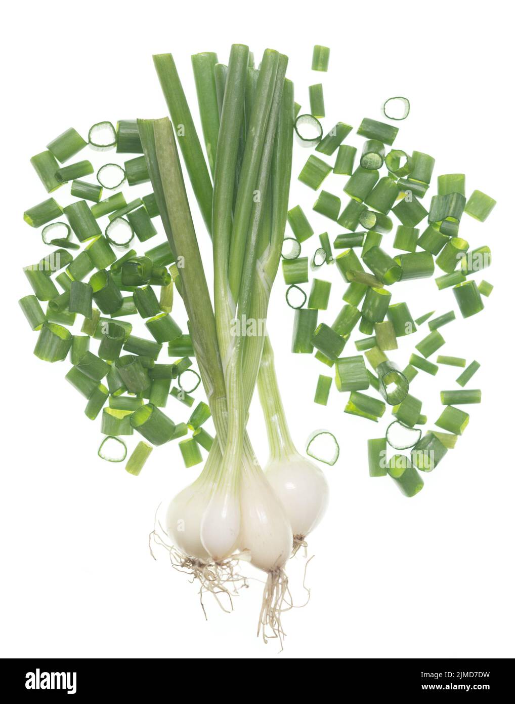Onion horizontal hi-res stock photography and images - Alamy
