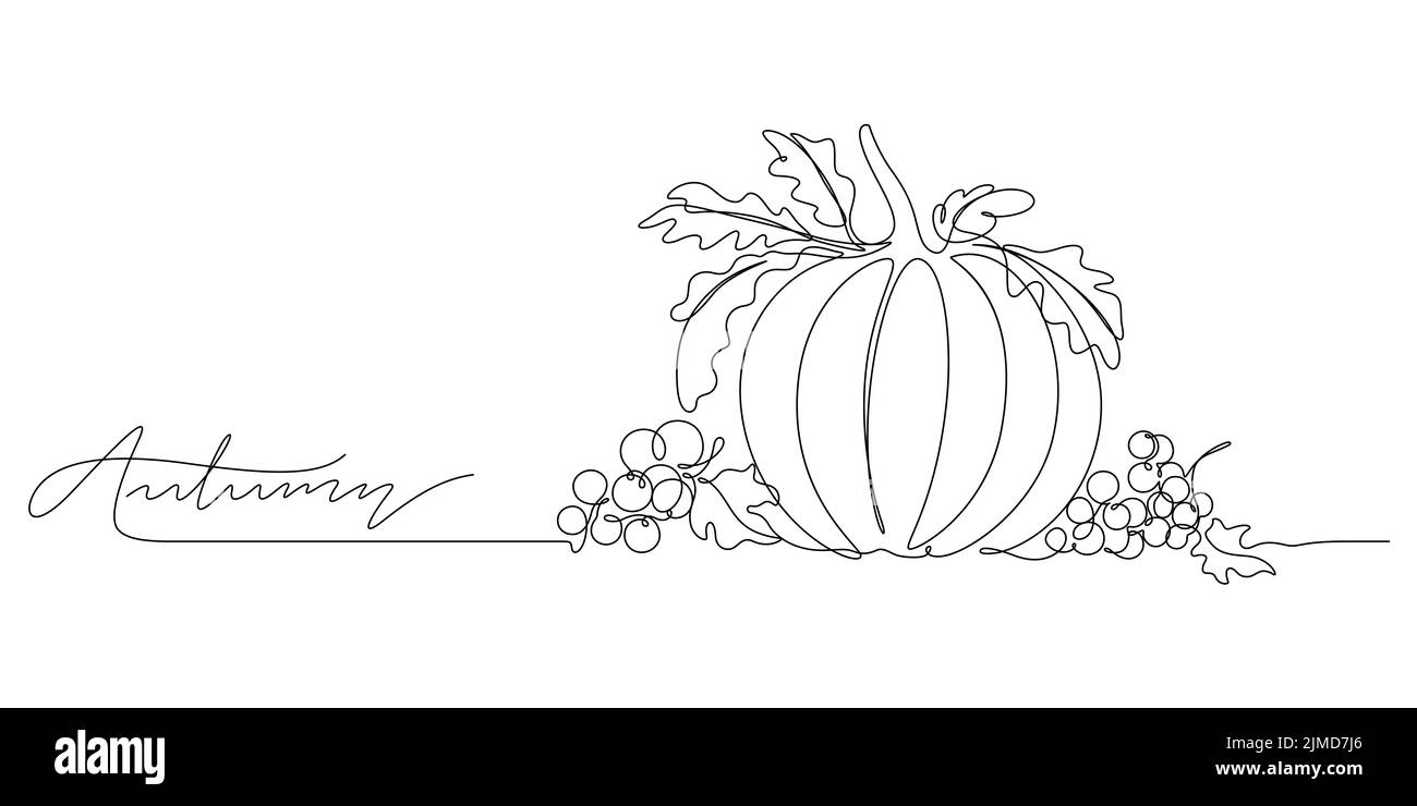 continuous line drawing of autumn background. pumpkin and berry decorative still life vector illustration Stock Vector