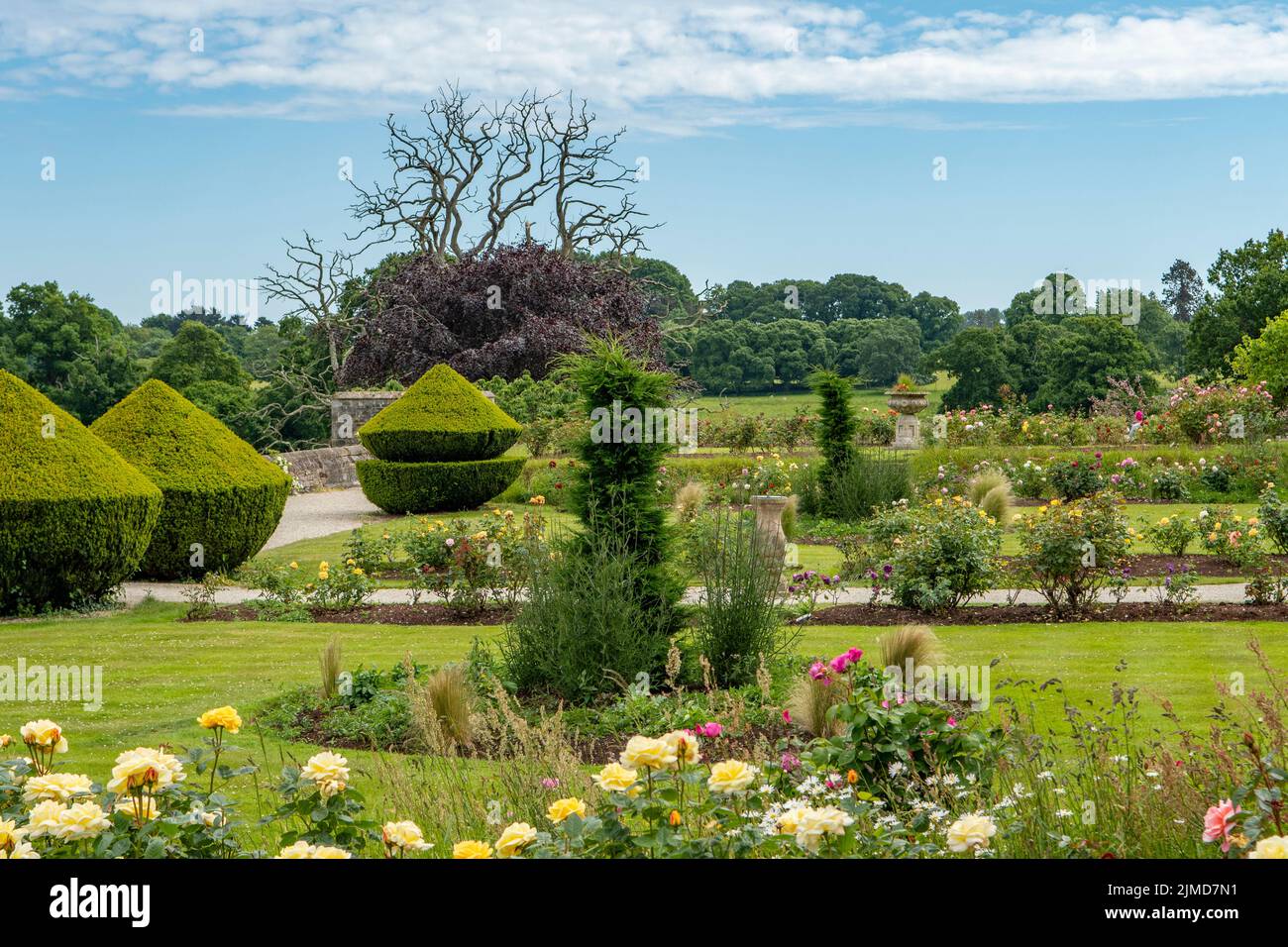 The Rose Garden, Powderham Castle, near Dawlish, Devon, England Stock