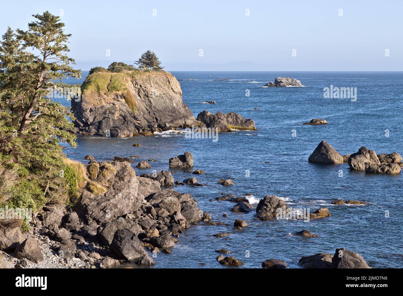 Sitka Spruce 'Picea sitchensis', coniferous, evergreen tree, coastal boulders. Stock Photo