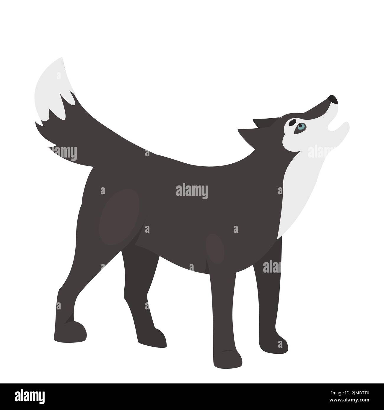 Howling wild wolf animal. Wildlife dog family member, forest predator vector illustration Stock Vector