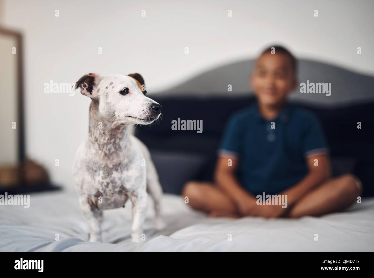 Sometimes your guardian angels are right in front of you. an adorable