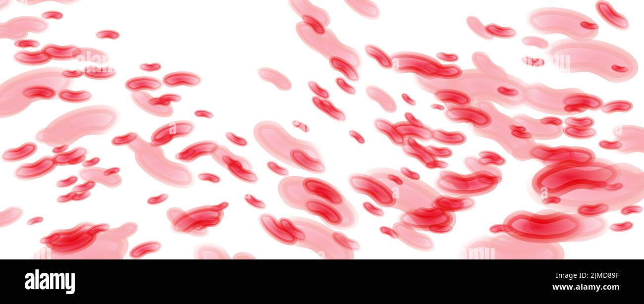 Blood cells, plasma, health, human, illustration Stock Photo