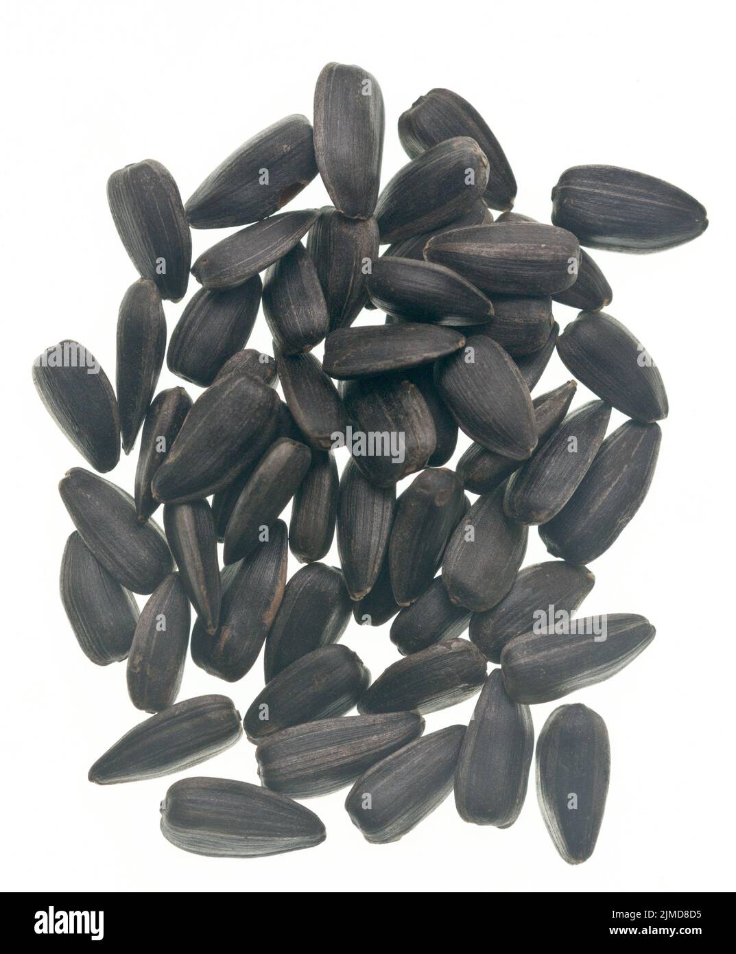 Crunchy roasted sunflower seeds hi-res stock photography and images - Alamy