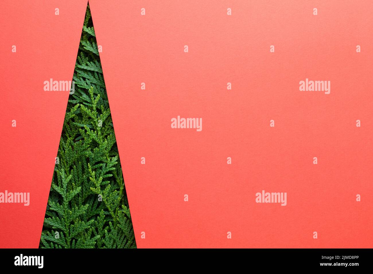 Minimal Creative Christmas Tree Made Of Thuja Stock Photo