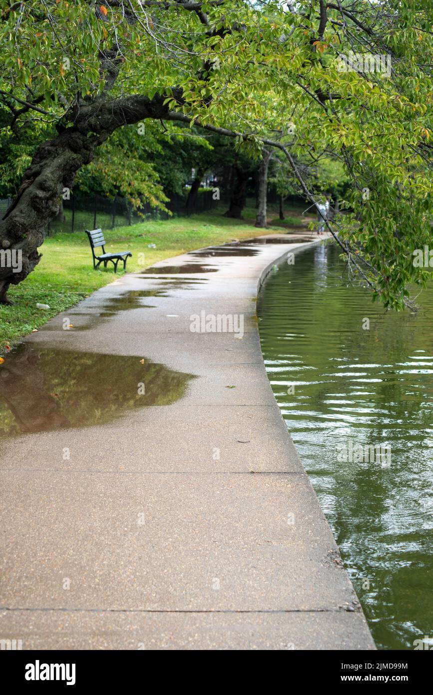 Overhanging branch hi-res stock photography and images - Alamy