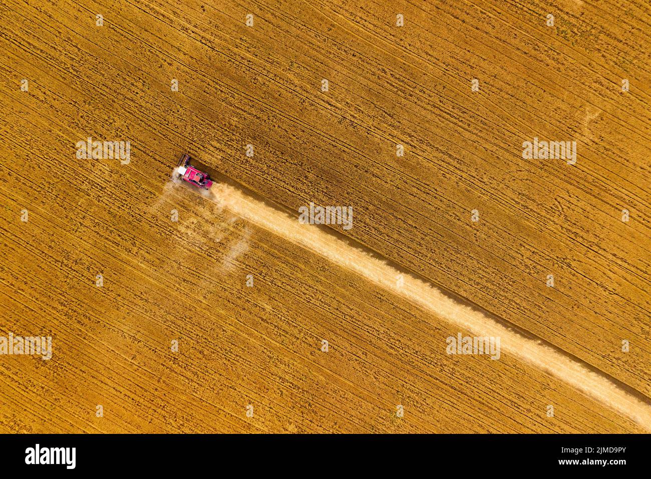 Top view of combine on harvest field Stock Photo