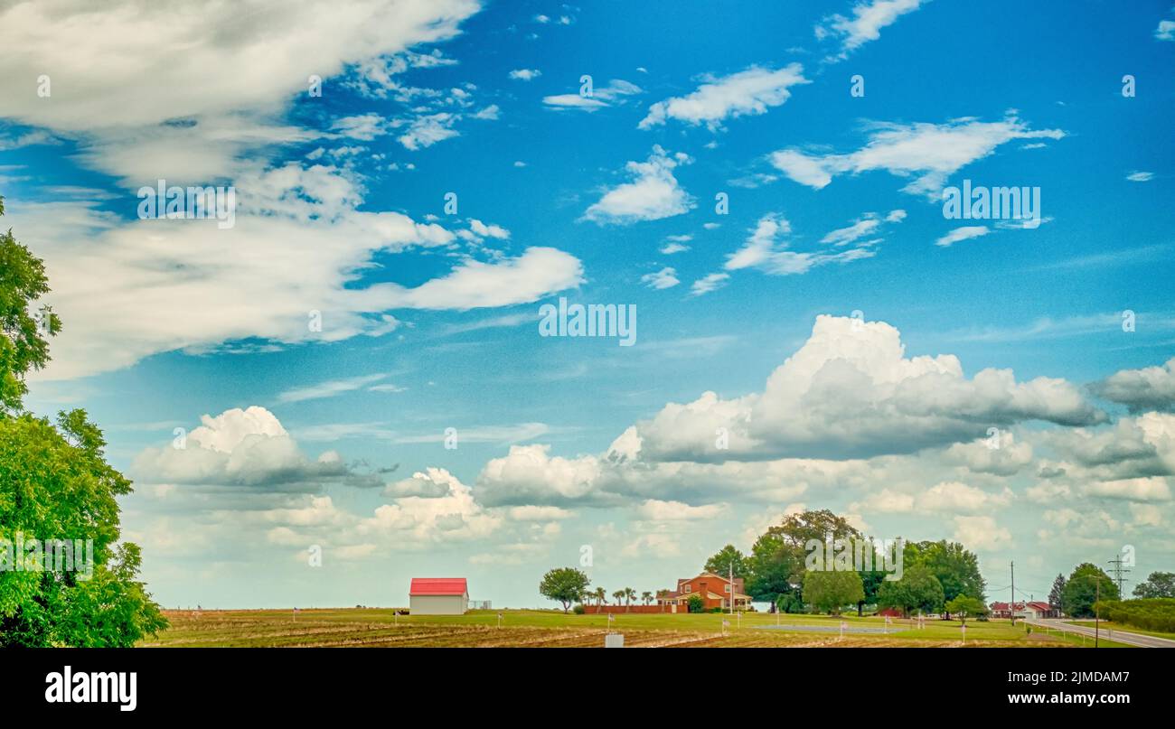 Strawberry hill usa fruit and vegetable farm in south carolina Stock