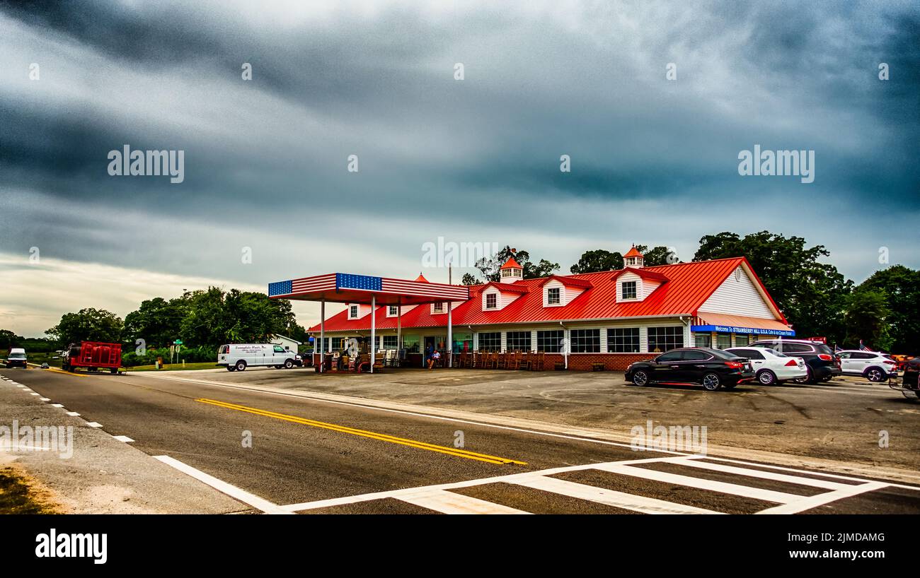 Strawberry hill usa fruit and vegetable farm in south carolina Stock