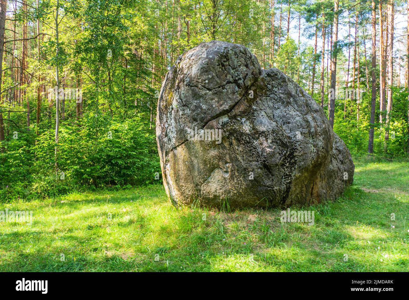 Large Boulder in the Forest. Big Rock on the Scenery, Green Forest in Background Stock Photo