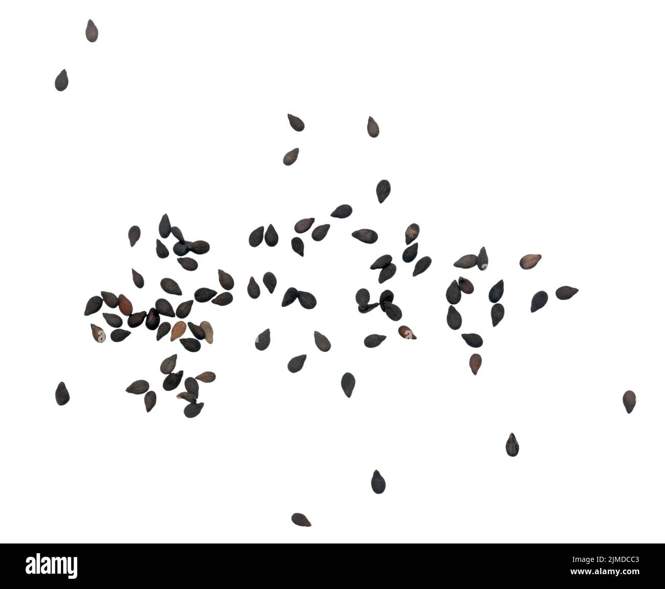 Black sesame crop hi-res stock photography and images - Alamy