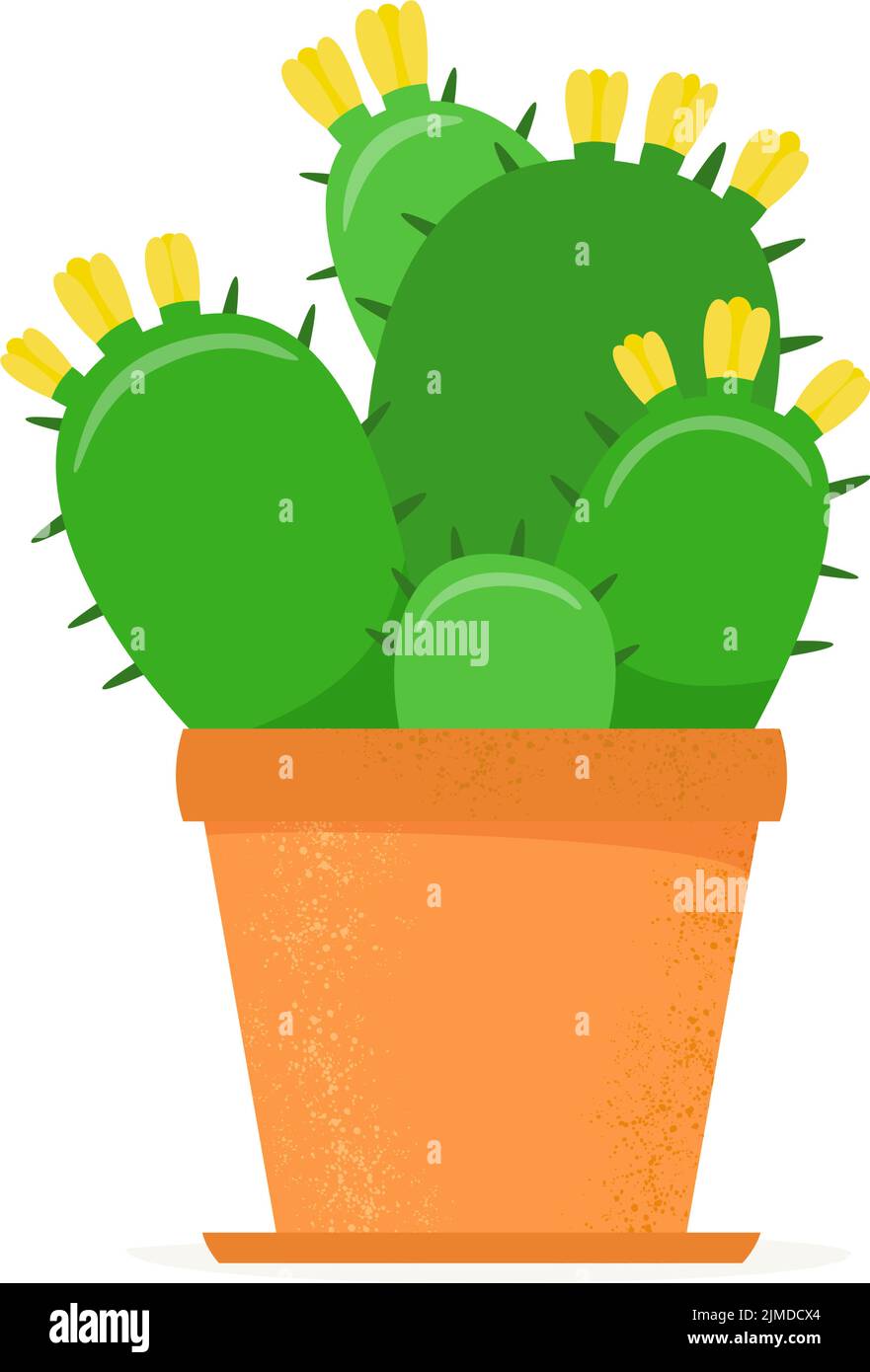 Flowering cactus in a flat style. Blossomed house succulent in pot