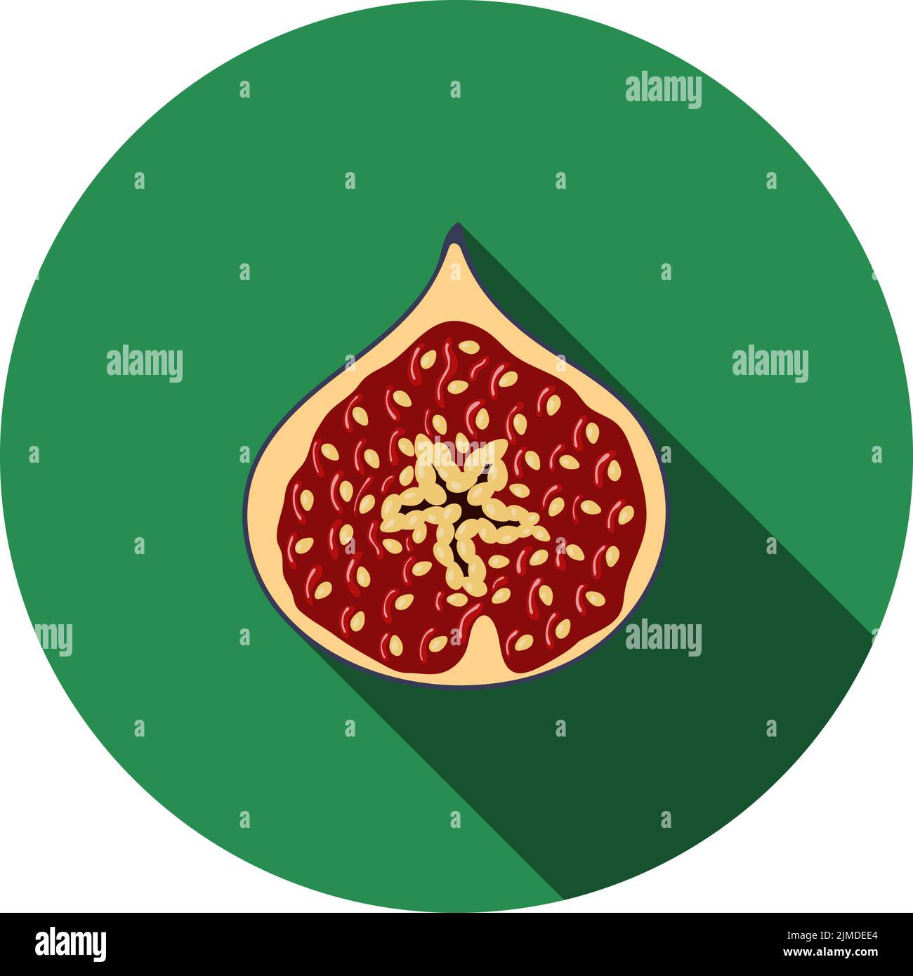 Icon Of Fig Fruit In Ui Colors. Flat Circle Stencil Design With Long Shadow. Vector Illustration. Stock Vector