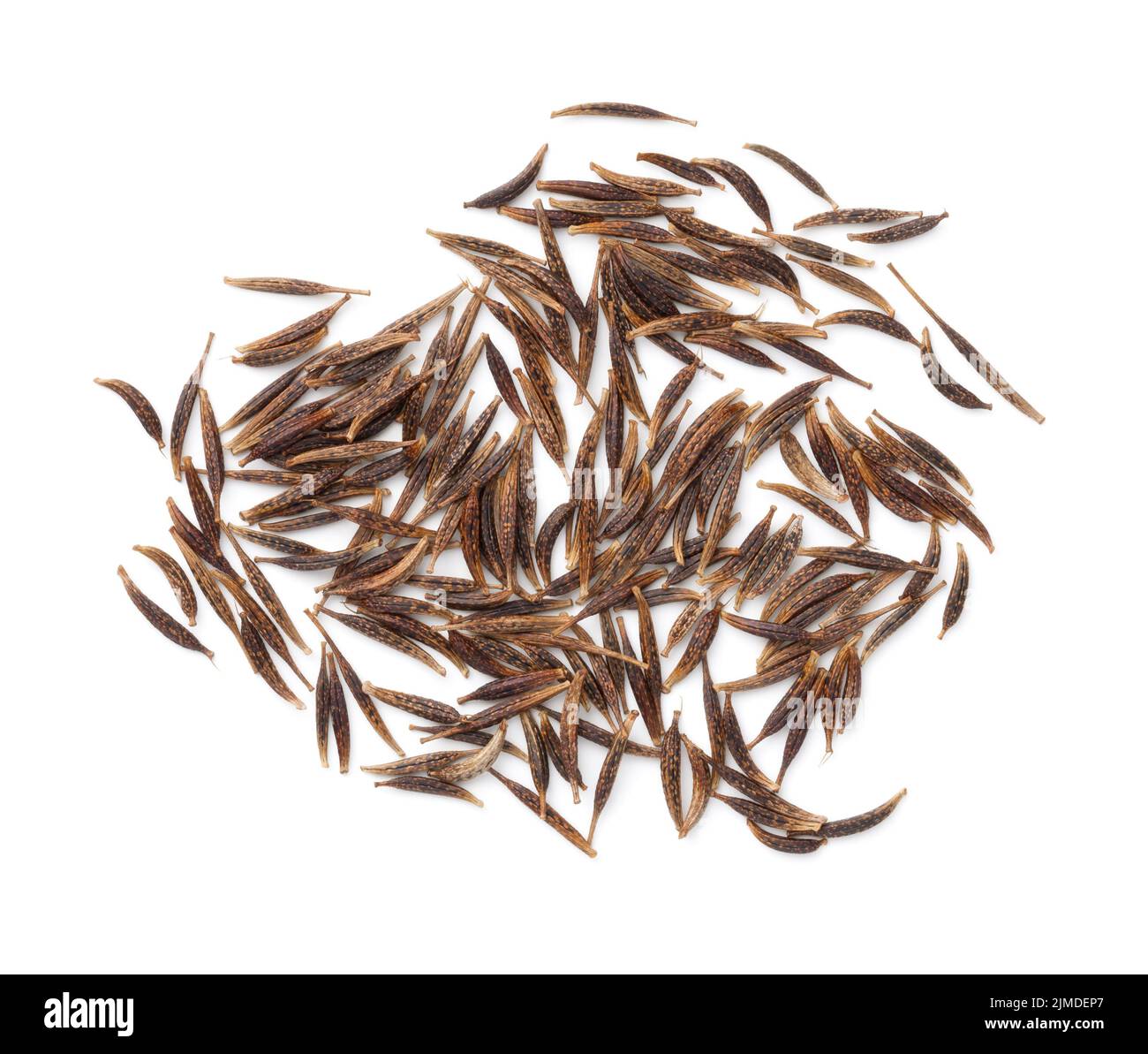 Cosmos Flower Seeds Isolated Stock Photo Alamy
