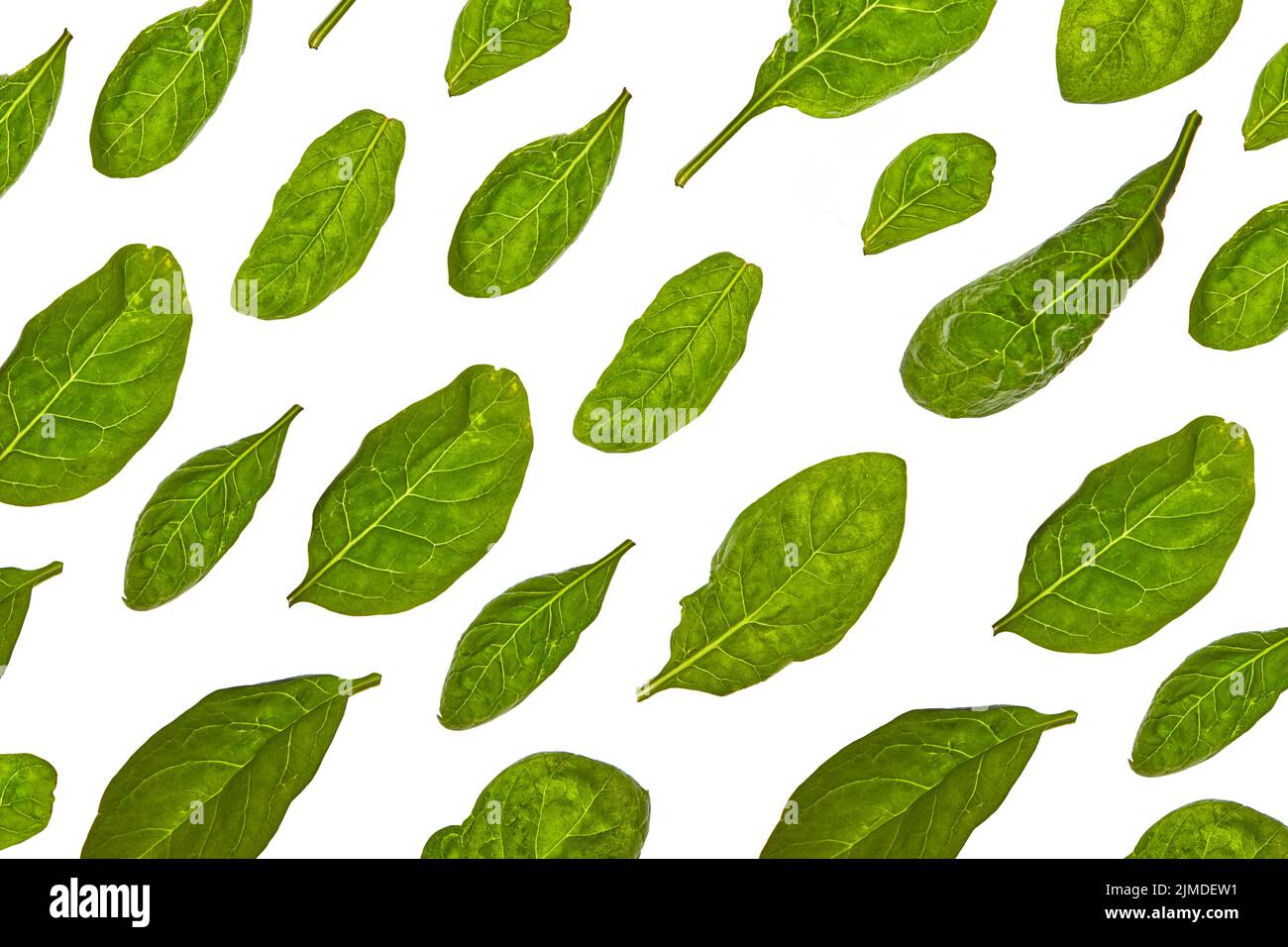 Horizontal pattern from spinach green natural organic leaves on a white