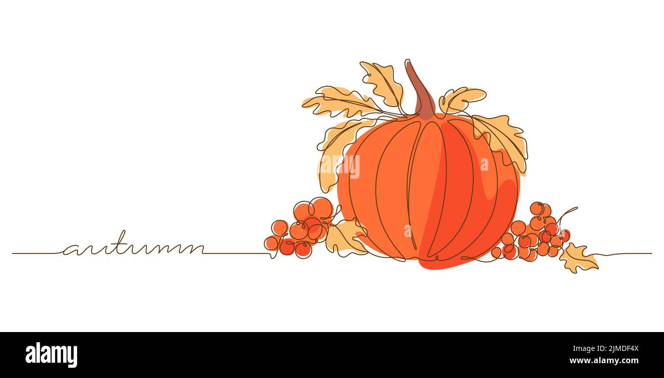 continuous line drawing of autumn colored background. pumpkin and berry decorative still life boho vector illustration Stock Vector