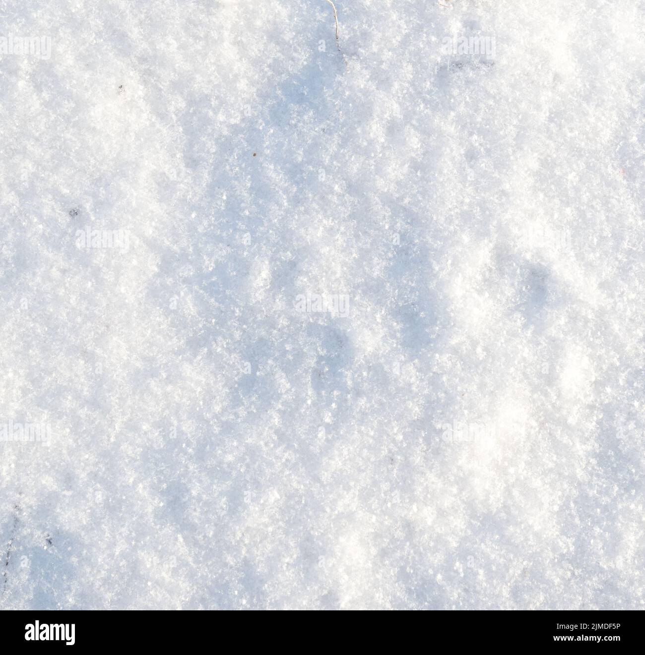 Snow background Stock Photo