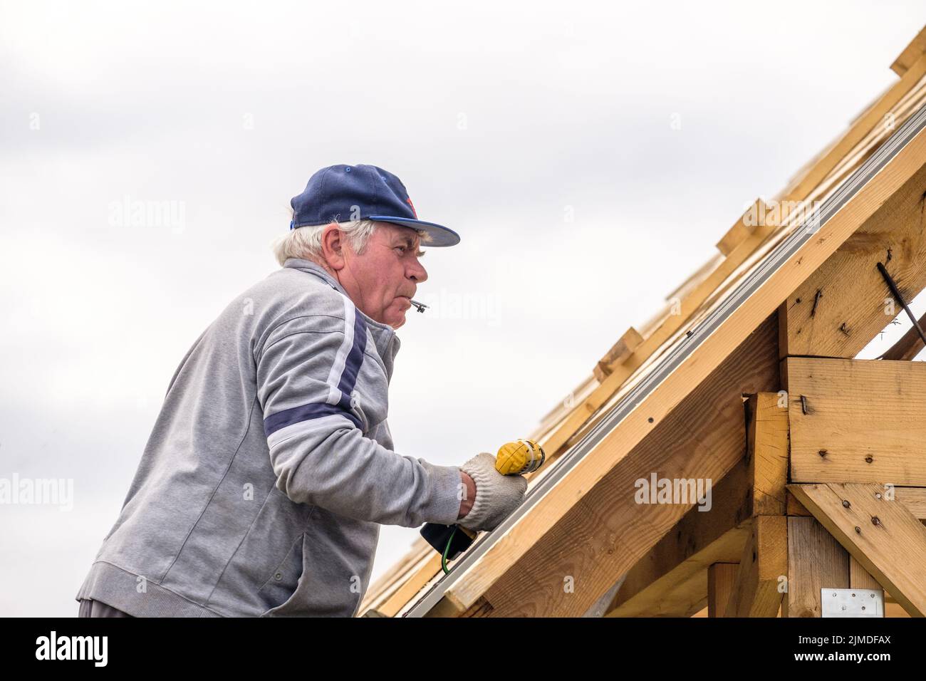 Male Hands In Gloves With A Screwdriver Screw The Roofing Sheet To The Roof  Stock Photo - Download Image Now - iStock