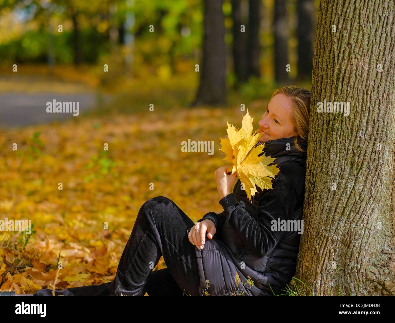 A beautiful young blonde girl sits on fallen autumn leaves in the park ...
