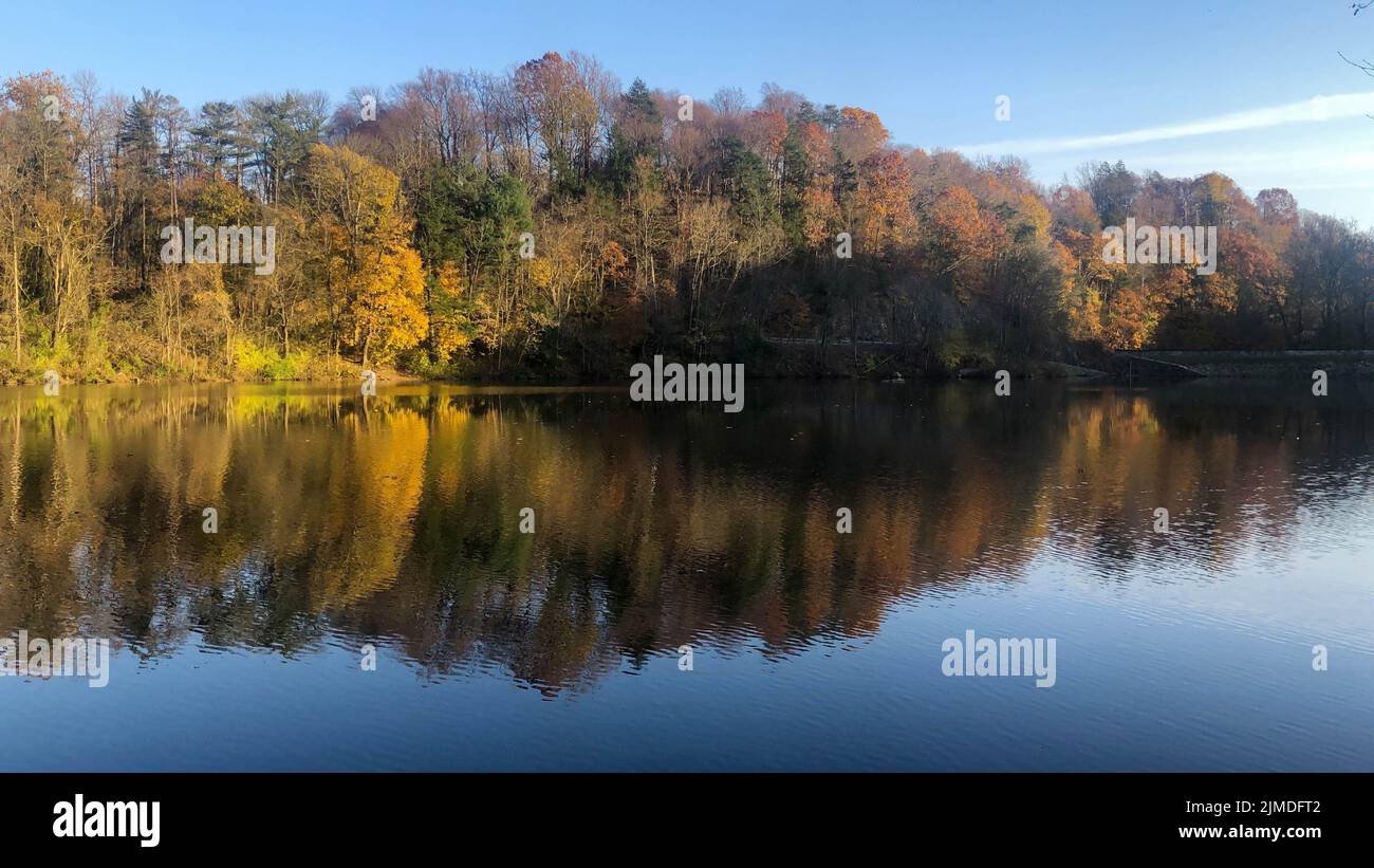 Shadow arrow points the way across idyllic trees in lake reflection Stock Photo