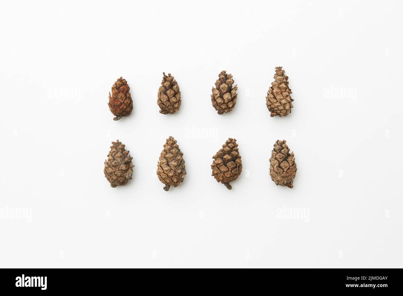 Cones in rows hi-res stock photography and images - Alamy