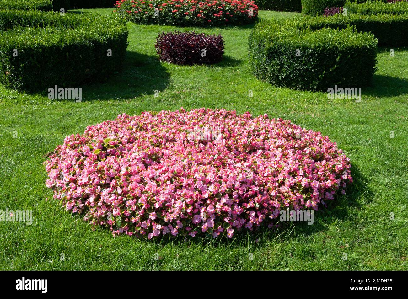 Grass beds hi-res stock photography and images - Alamy
