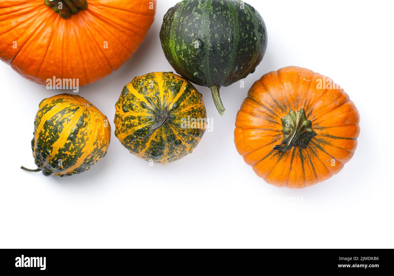 Autumn Pumpkins Isolated On White Background Stock Photo