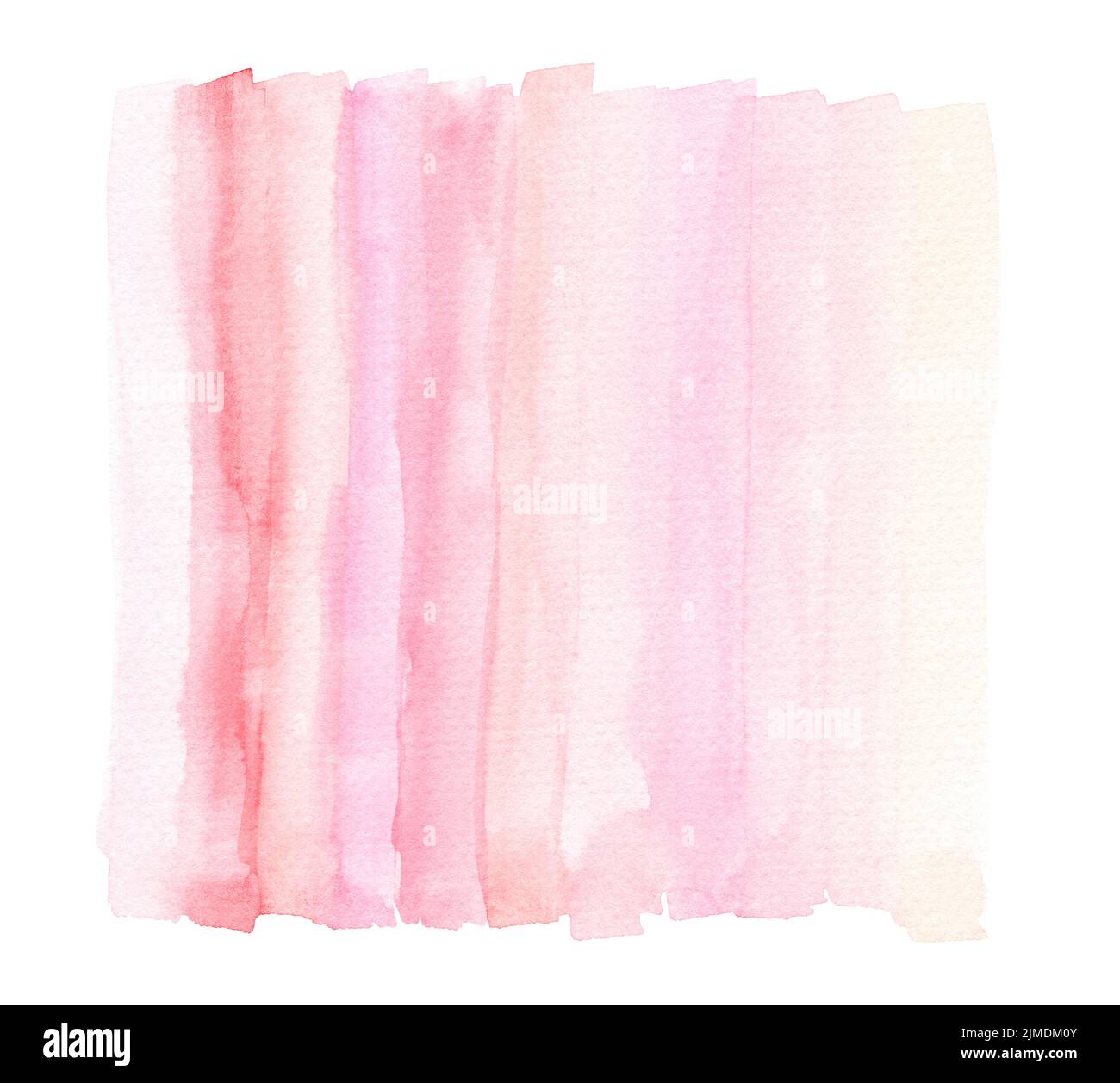 Bright Light Pink Watercolor Lines In Wash Stock Photo