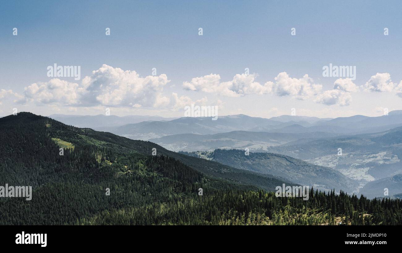 Top view sunny forest hi-res stock photography and images - Alamy