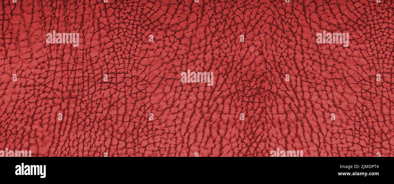 Clean red leather fullframe texture. Empty red leatherette closeup ...