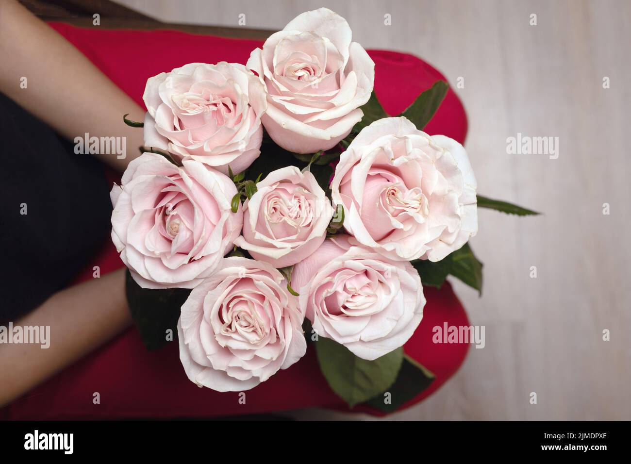 Girl holding flowers on her lap. gift bouquet of soft pink roses Stock Photo