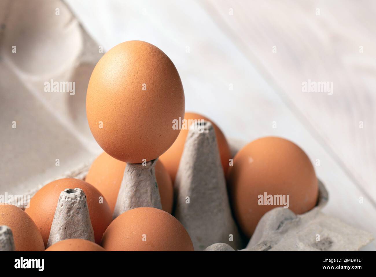 One best egg rises above others eggs. concept of leadership in team
