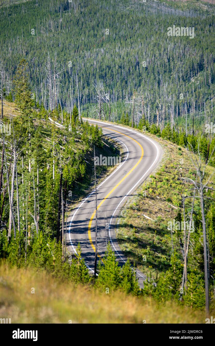 Scenery at Mt Washburn trail in Yellowstone National Park, Wyoming, USA Stock Photo