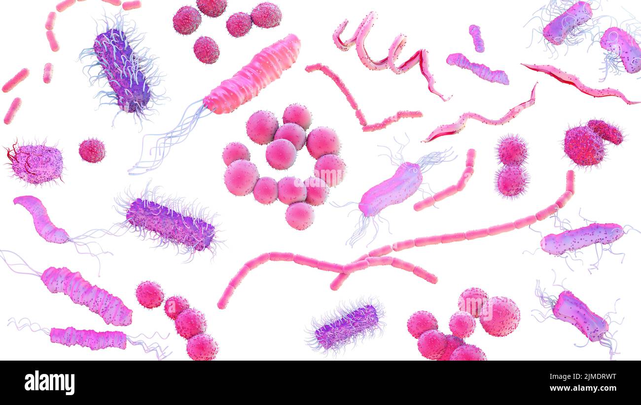Illustration showing different shapes and types of bacteria on a surface. Stock Photo