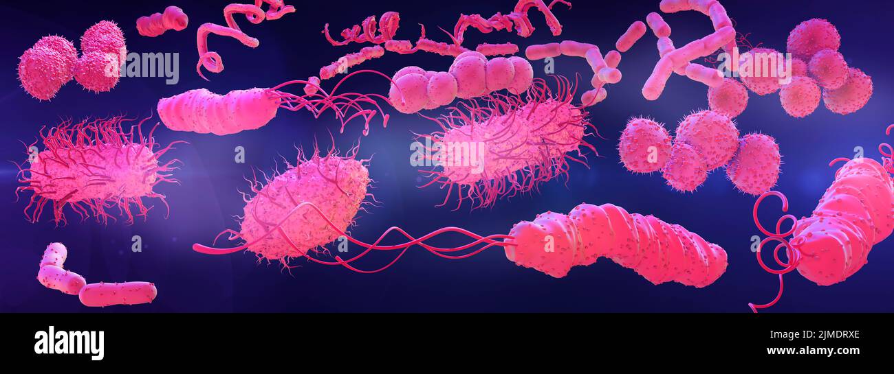 Illustration showing different shapes and types of bacteria on a surface. Stock Photo