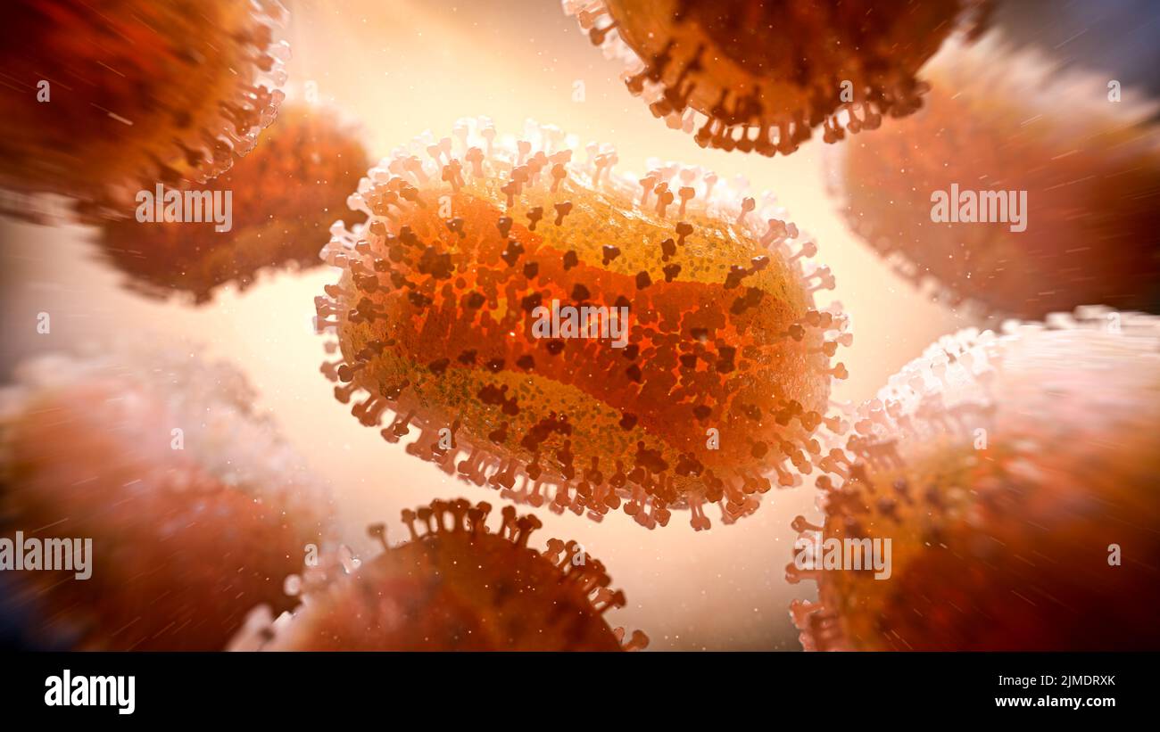 Monkeypox virus, illustration Stock Photo