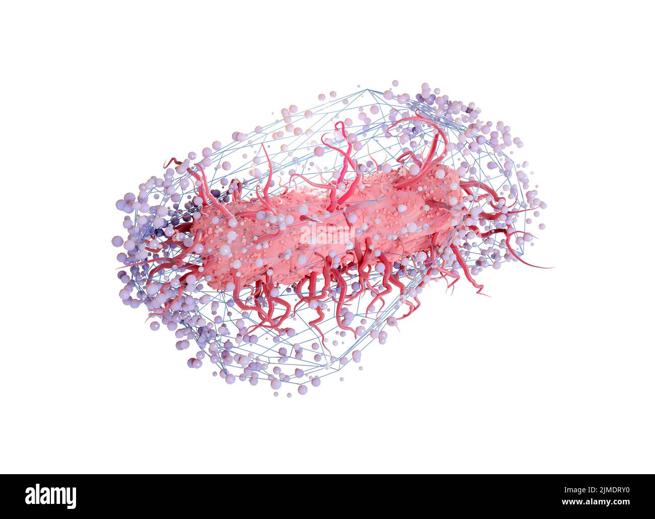 Illustration of Escherichia coli, E.coli bacteria or salmonella in a net, surrounded by molecules or antibodies representing the immune system or a va Stock Photo
