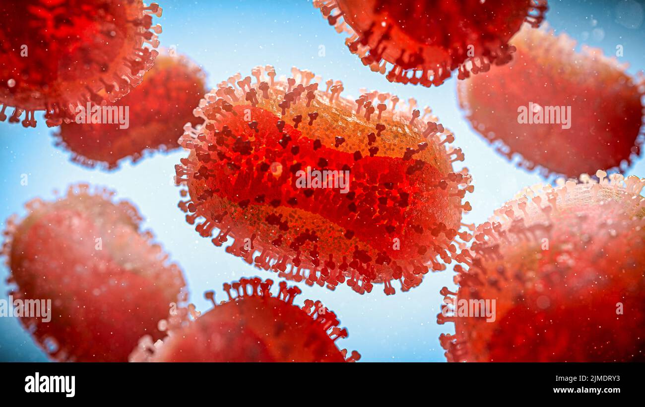 Monkeypox virus, illustration Stock Photo