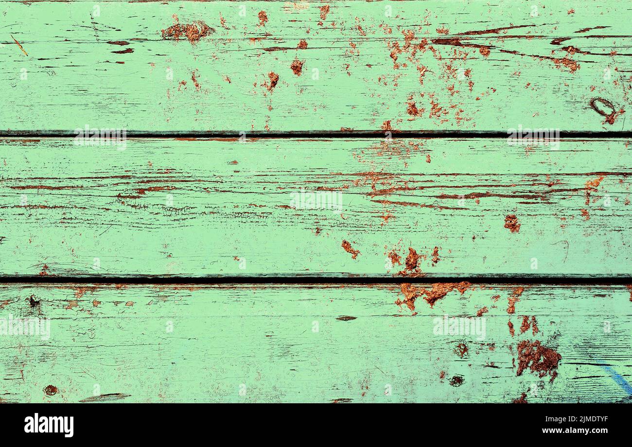 Gallery image with a fresh perspective
