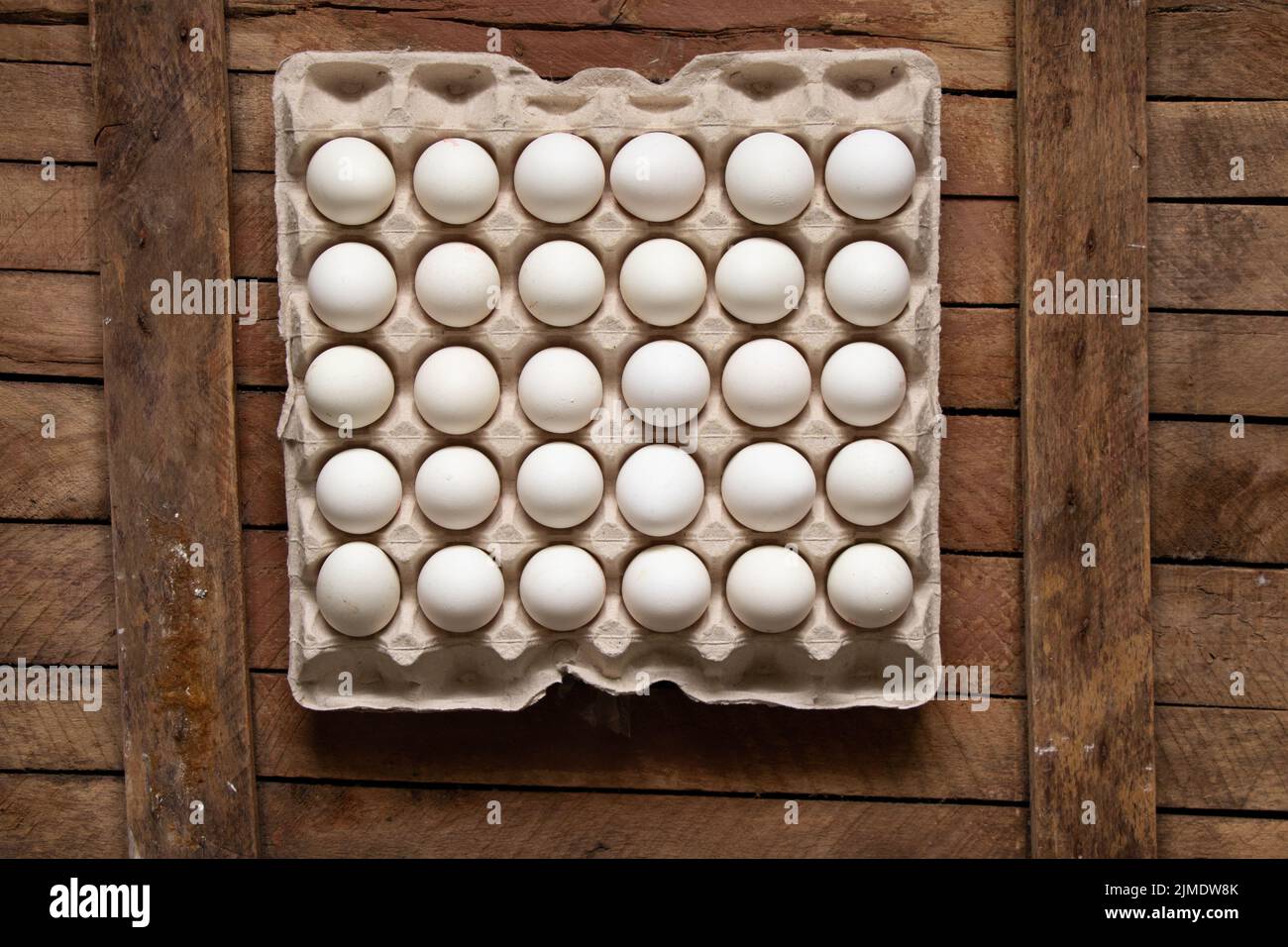 Chicken eggs in a paper tray as a background, white eggs Stock Photo