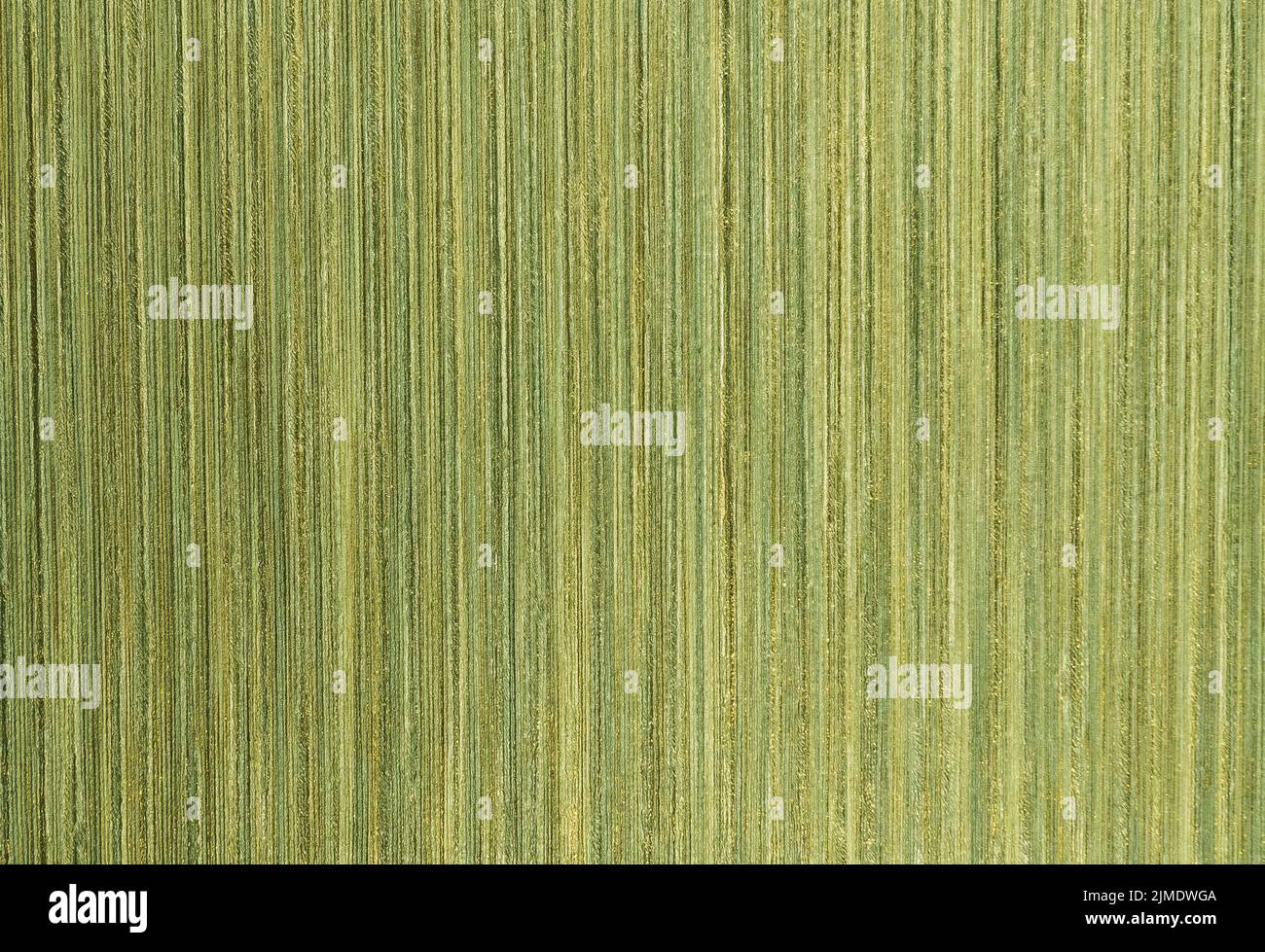 Fashionable Modern Wallpaper or Textile Surface Background with Striped Pattern Stock Photo