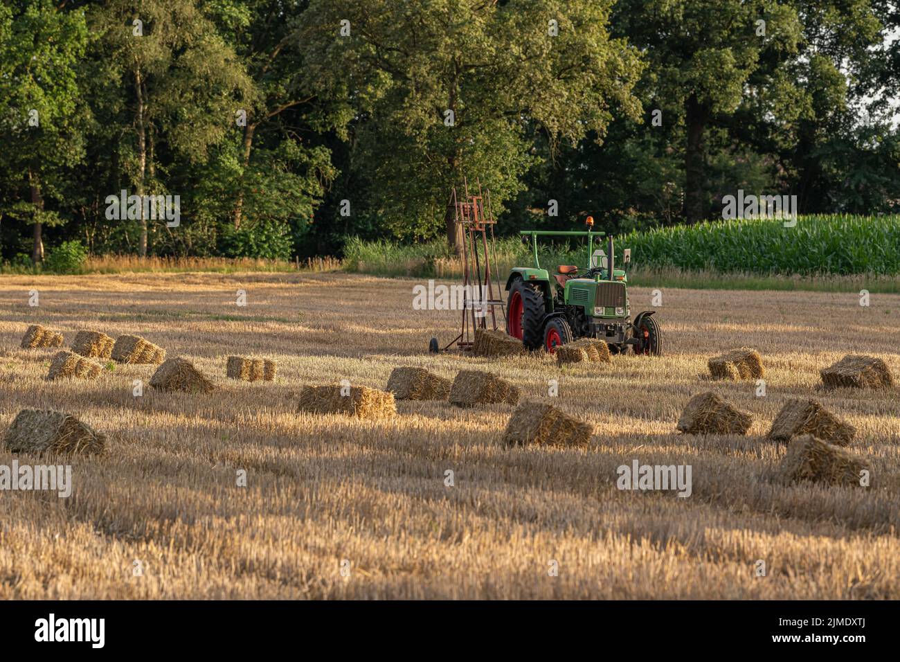 Old tractor in a field with straw bales Stock Photo
