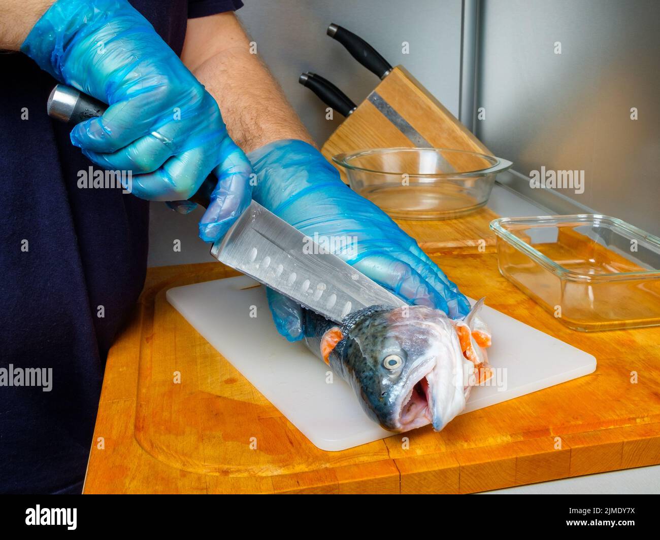The gloved hands of the cook cut off the salmon's head with a knife. Stock Photo