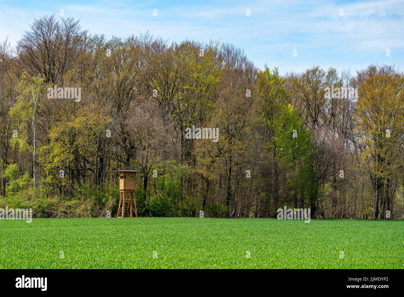 Hunter house in forest. Wooden Hunting Lodge Stock Photo - Alamy