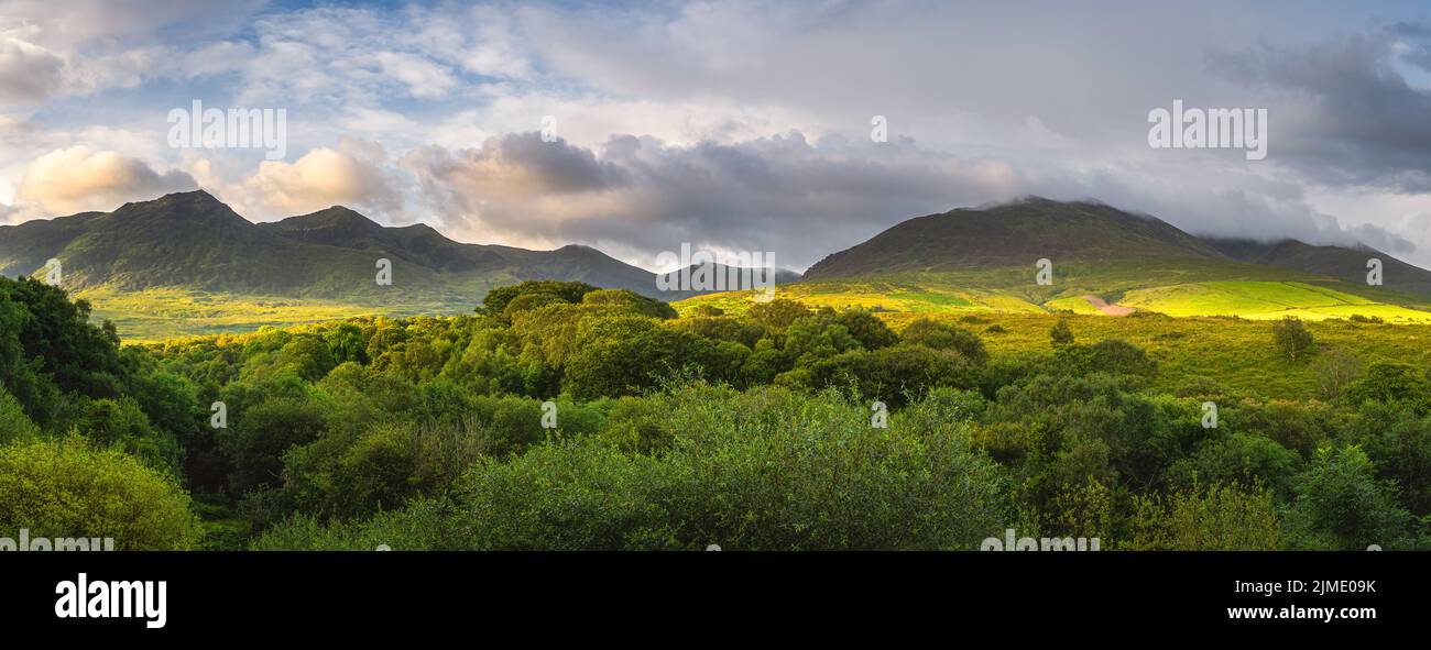 Green forest and mountain range illuminated by golden sunlight at ...
