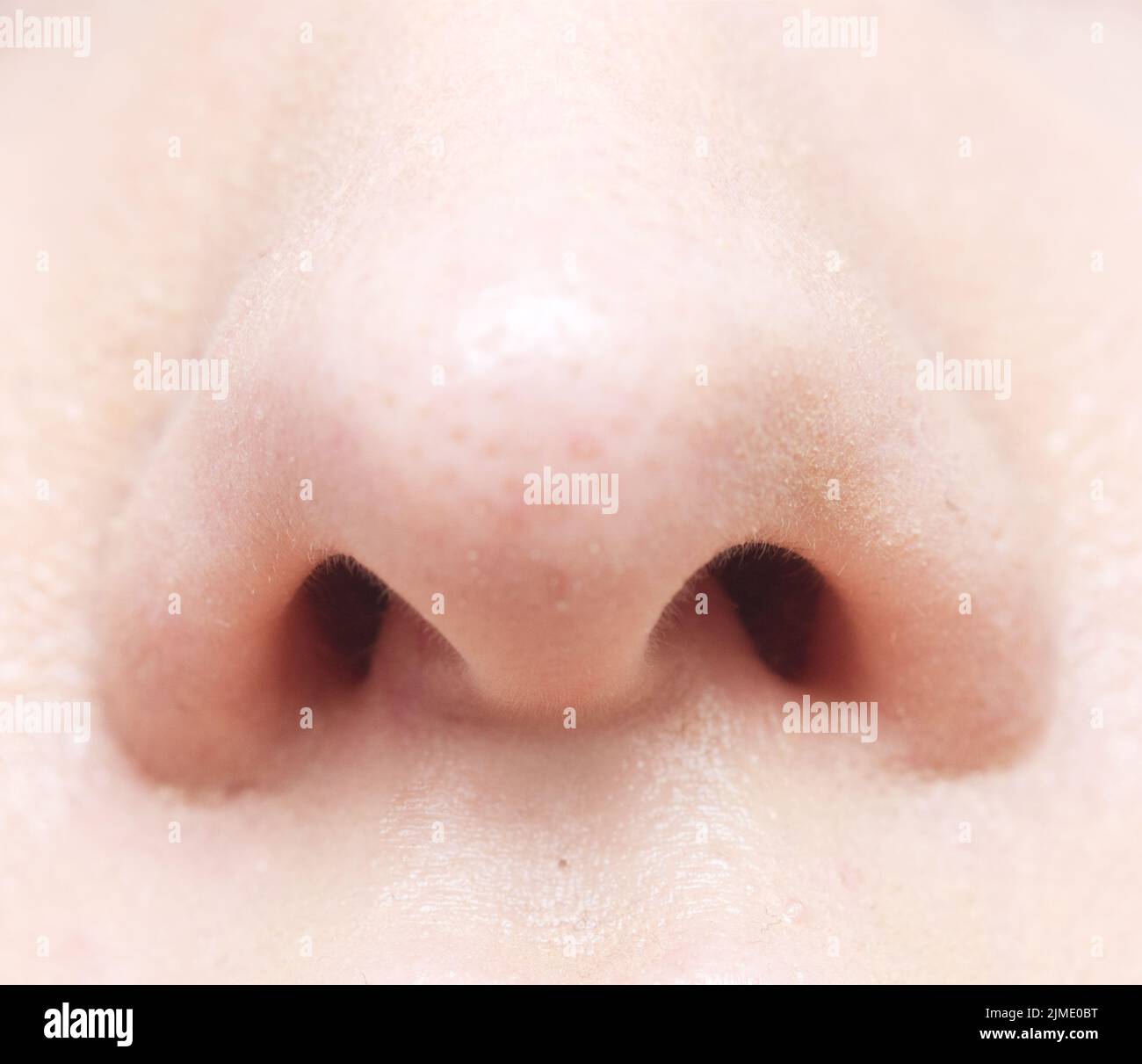 Human nose hi-res stock photography and images - Alamy
